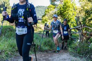 BIB: 2645
                            <button type="button" onclick="openModal(19263172)" class="btn btn-primary btn-sm float-right btn-popup" data-toggle="modal" data-target=".modal-high-quality">
                        <i class="fas fa-shopping-cart"></i> Add to Cart
                    </button>
                                            <button type="button" onclick="isThisMe(19263172, true)" class="btn btn-success btn-sm float-right btn-popup btn-isme hidden" data-toggle="tooltip" data-placement="bottom" title="นี่คือรูปของคุณใช่ไหม คลิกที่นี่เพื่อเอาเข้าอัลบั้ม">
                        <i class="fas fa-plus"></i> Add to album
                    </button>
                    <button type="button" onclick="isThisMe(19263172, false)" class="btn btn-warning btn-sm float-right btn-popup btn-isnotme hidden">
                        <i class="fas fa-ban"></i> Remove from album
                    </button>